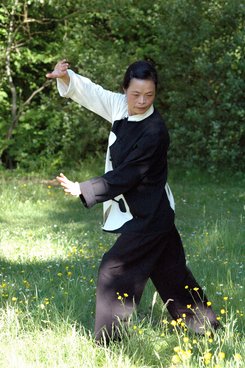 Démonstration Qi Gong